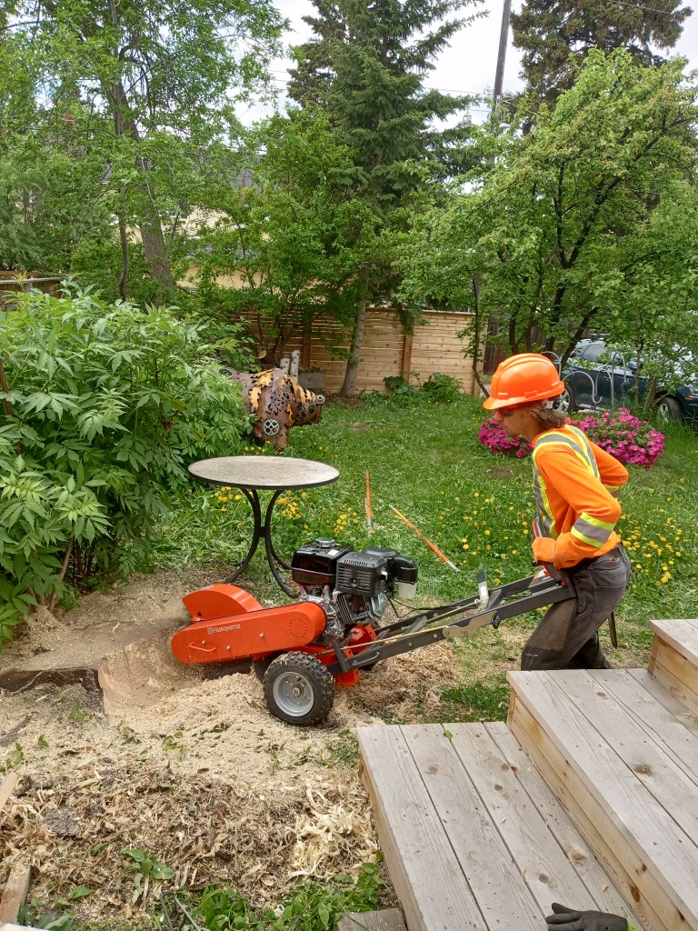 stump removal services Edmonton