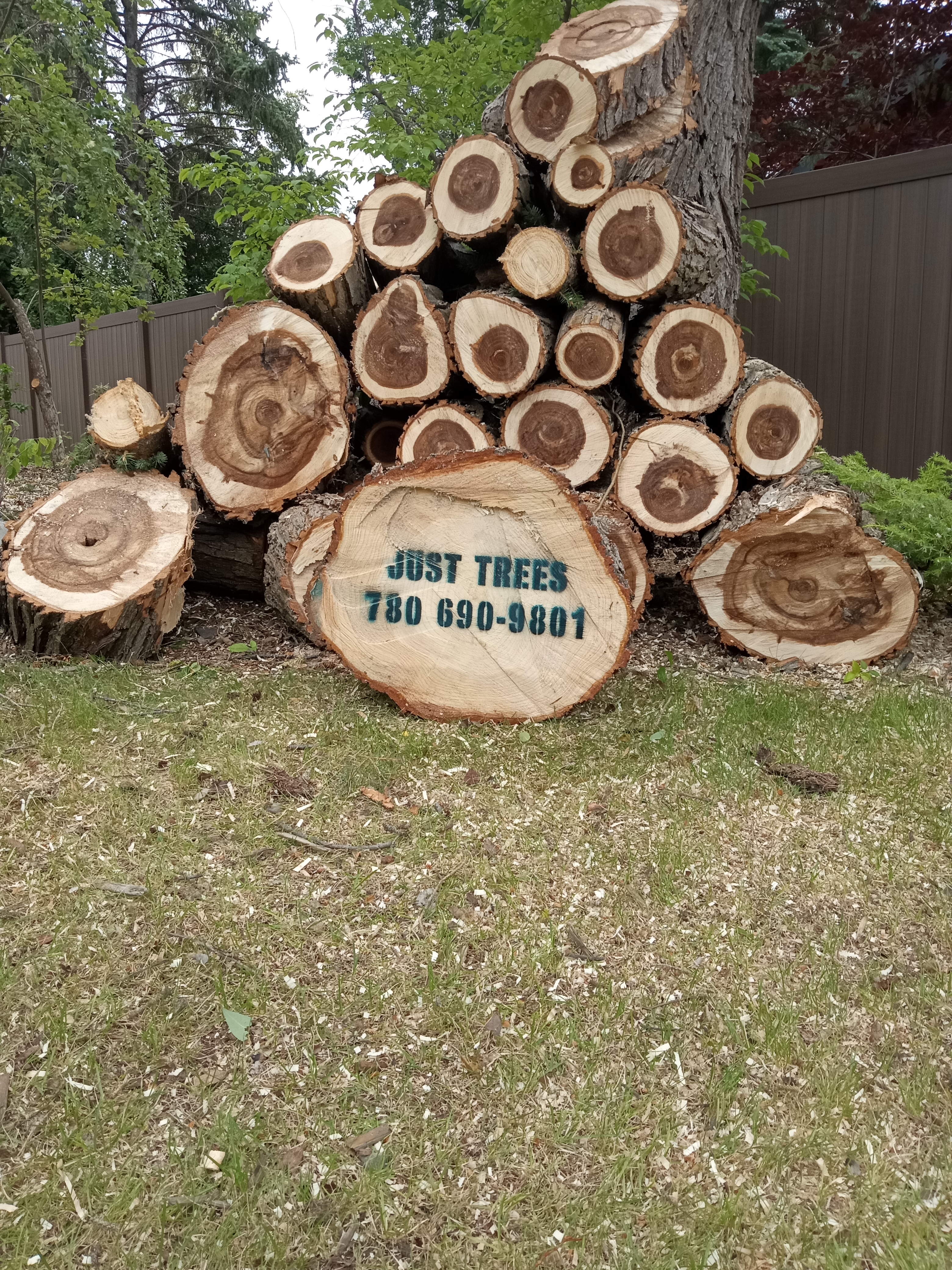 Stacked firewood ready for pick up